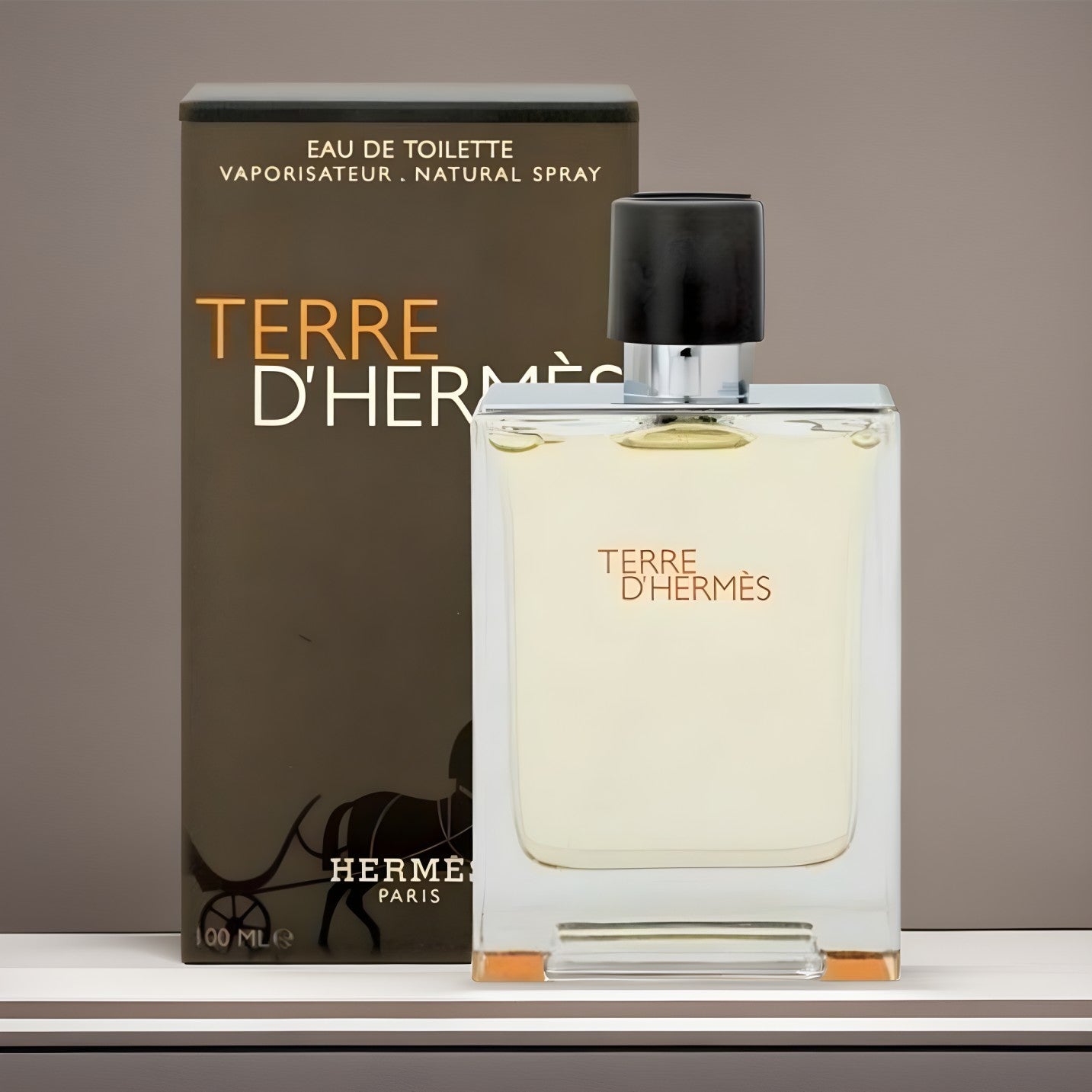 Hermes terre eau 2024 de toilette 100ml spray