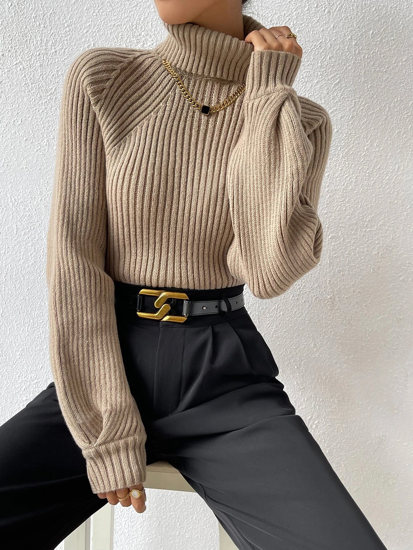 Buy Shein Turtleneck Raglan Sleeve Ribbed Knit Sweater in Pakistan