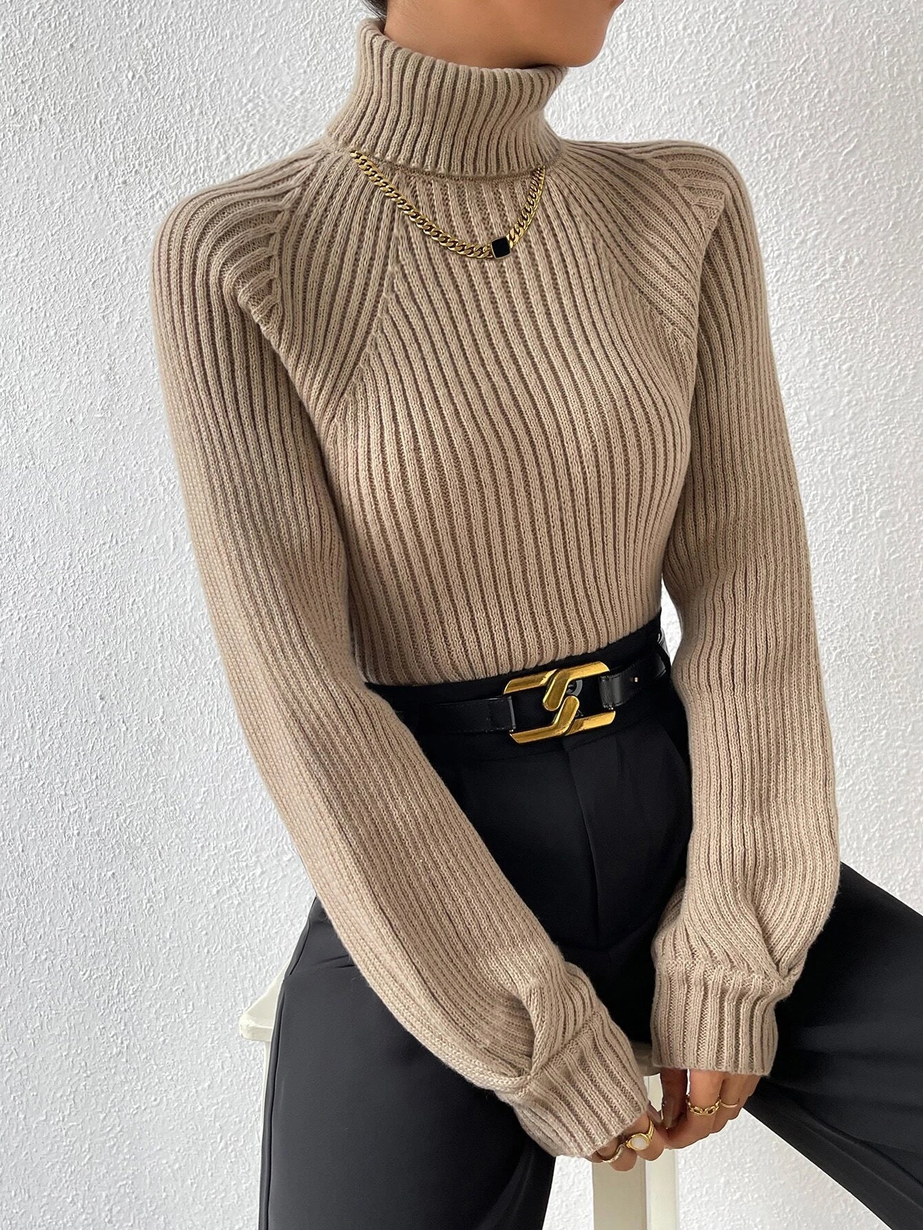 Buy Shein Turtleneck Raglan Sleeve Ribbed Knit Sweater in Pakistan