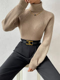 Buy Shein Turtleneck Raglan Sleeve Ribbed Knit Sweater in Pakistan