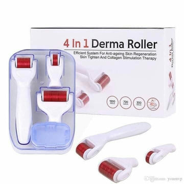 Buy Facial Beauty Derma Roller 4 In 1 in Pakistan