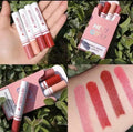 Buy 4 Pcs Wonderful Smoke Matte Finish Lipstick Set in Pakistan