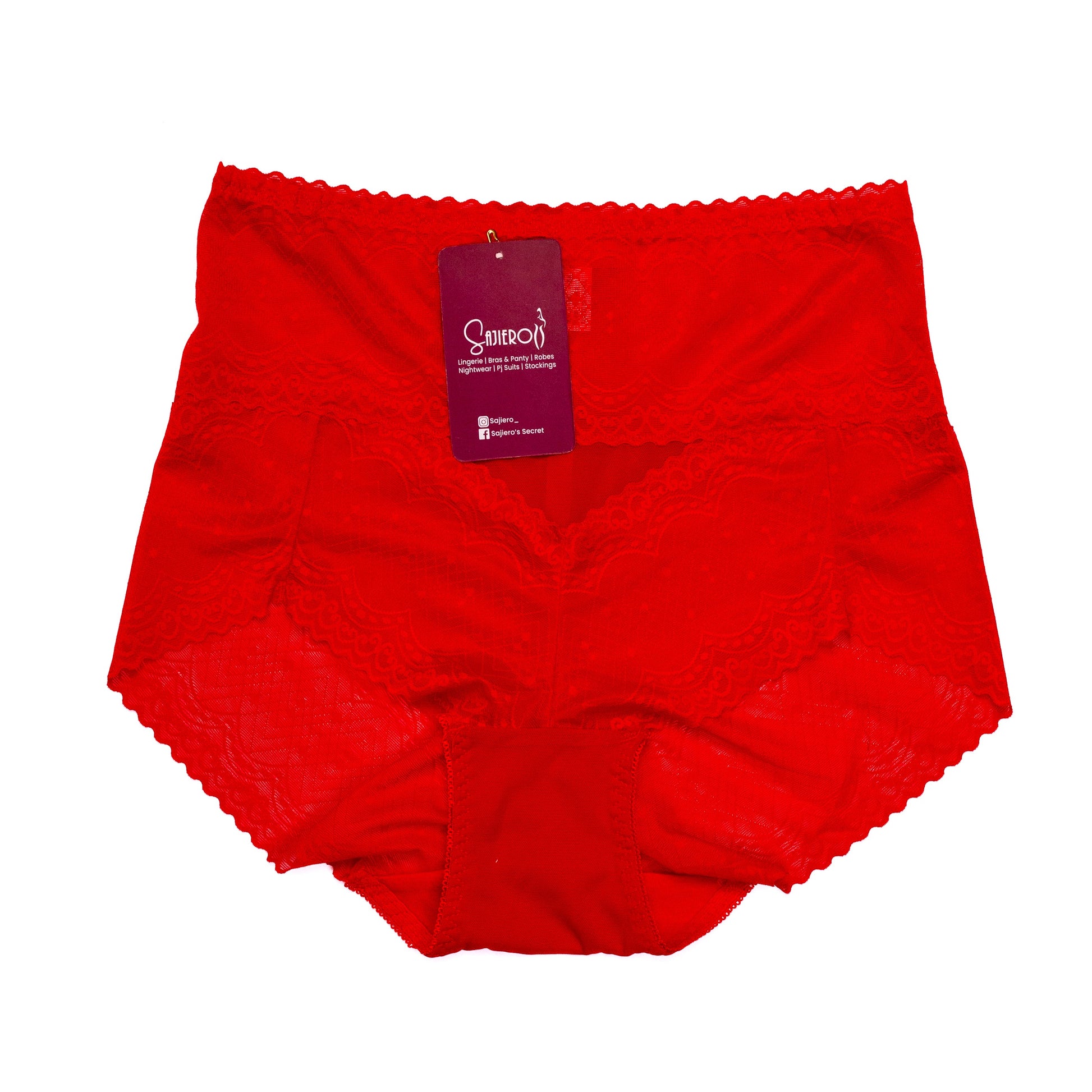 Buy Brief Style Plus Size Net Panty in Pakistan