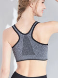 Buy Pearl Zipper Pushup Sports Bra in Pakistan