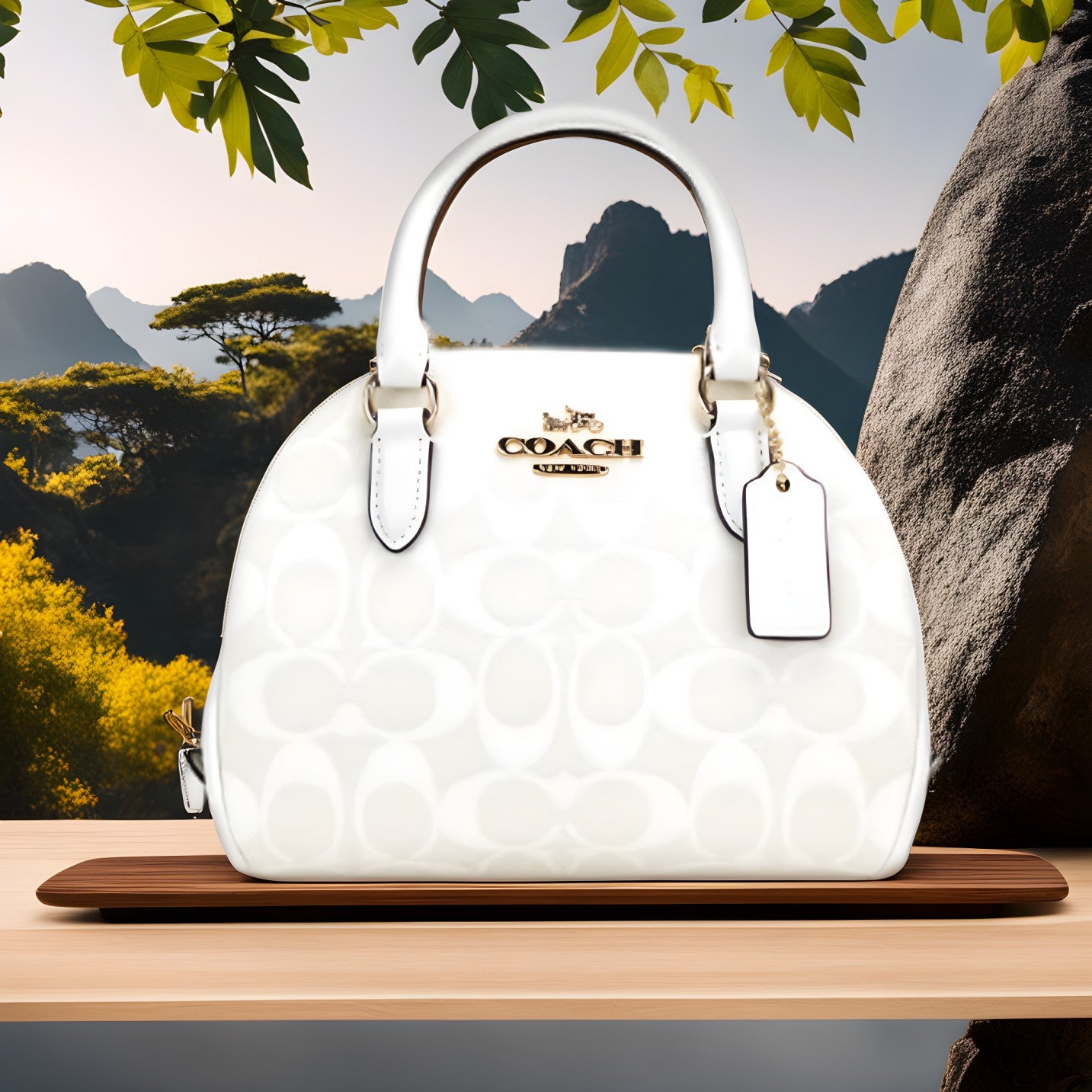 Buy Coach Sydney Chalk White Signature Coated Canvas Satchel Small Bag - White in Pakistan