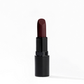 Buy Vida New York Creme Lipstick in Pakistan