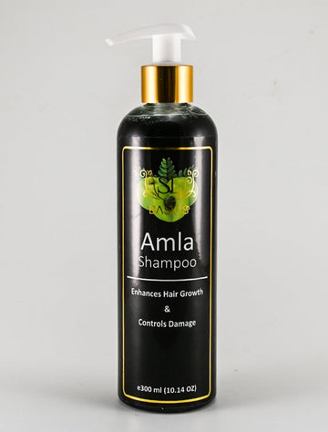 Buy SL Basics Amla Shampoo  - 300ml in Pakistan