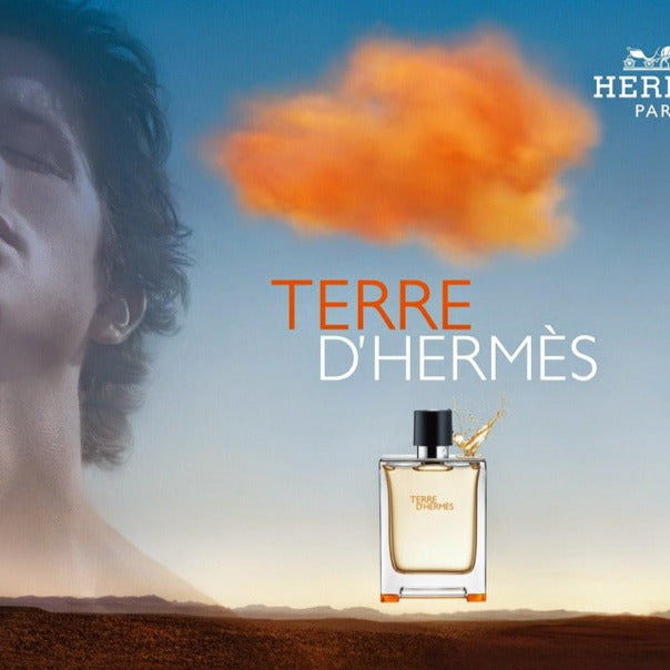 Buy Hermes Terre D Hermes EDT - 100ml in Pakistan