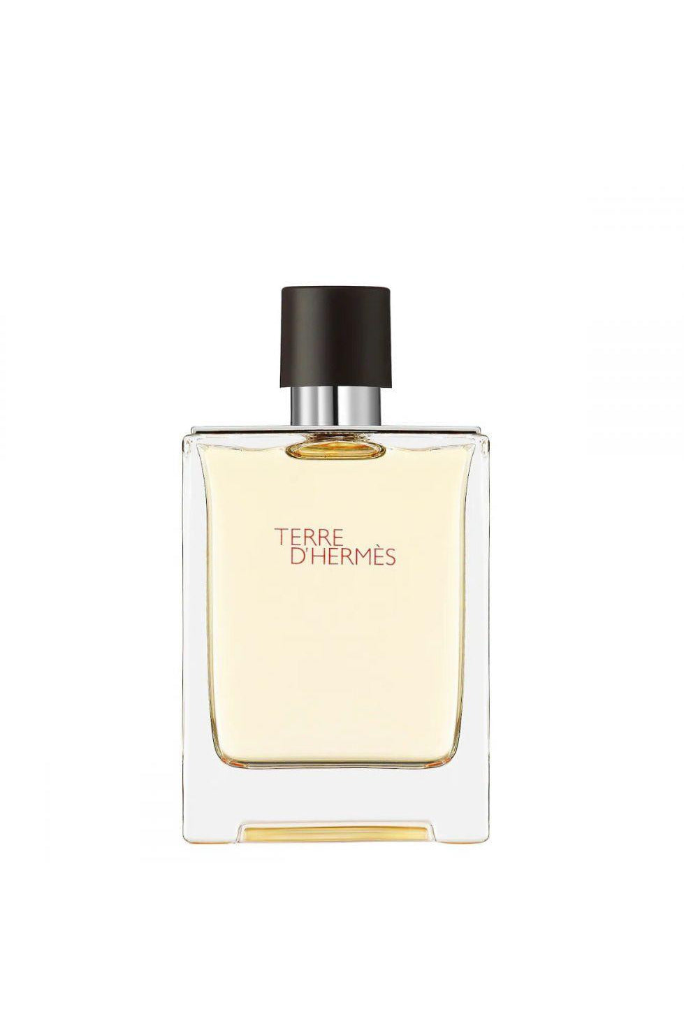 Buy Hermes Terre D Hermes EDT - 100ml in Pakistan