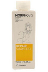 Buy Framesi Morphosis Repair Kit - 250 ml in Pakistan