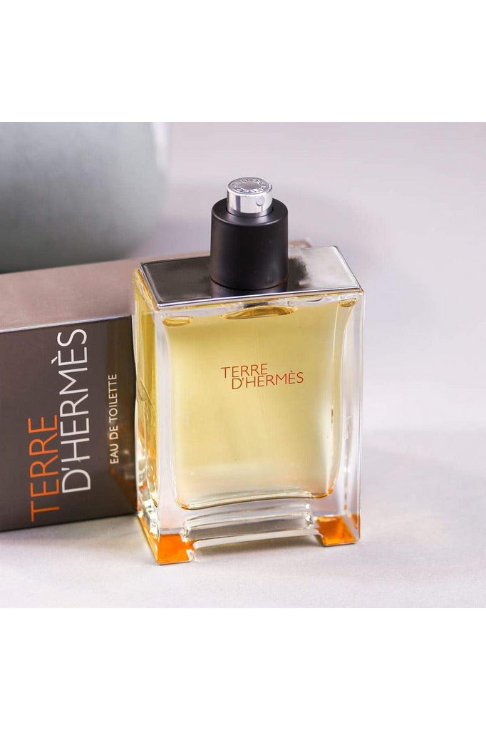 Buy Hermes Terre D Hermes EDT - 100ml in Pakistan