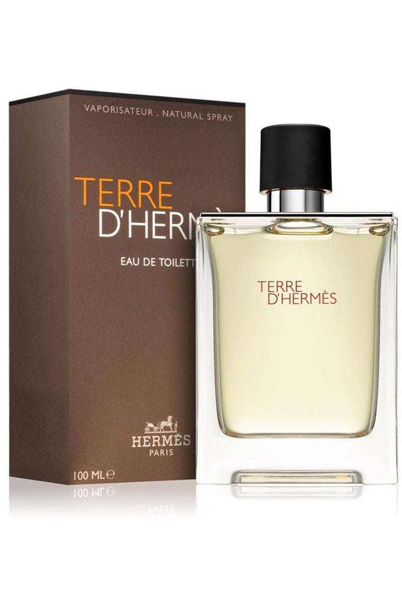 Buy Hermes Terre D Hermes EDT - 100ml in Pakistan