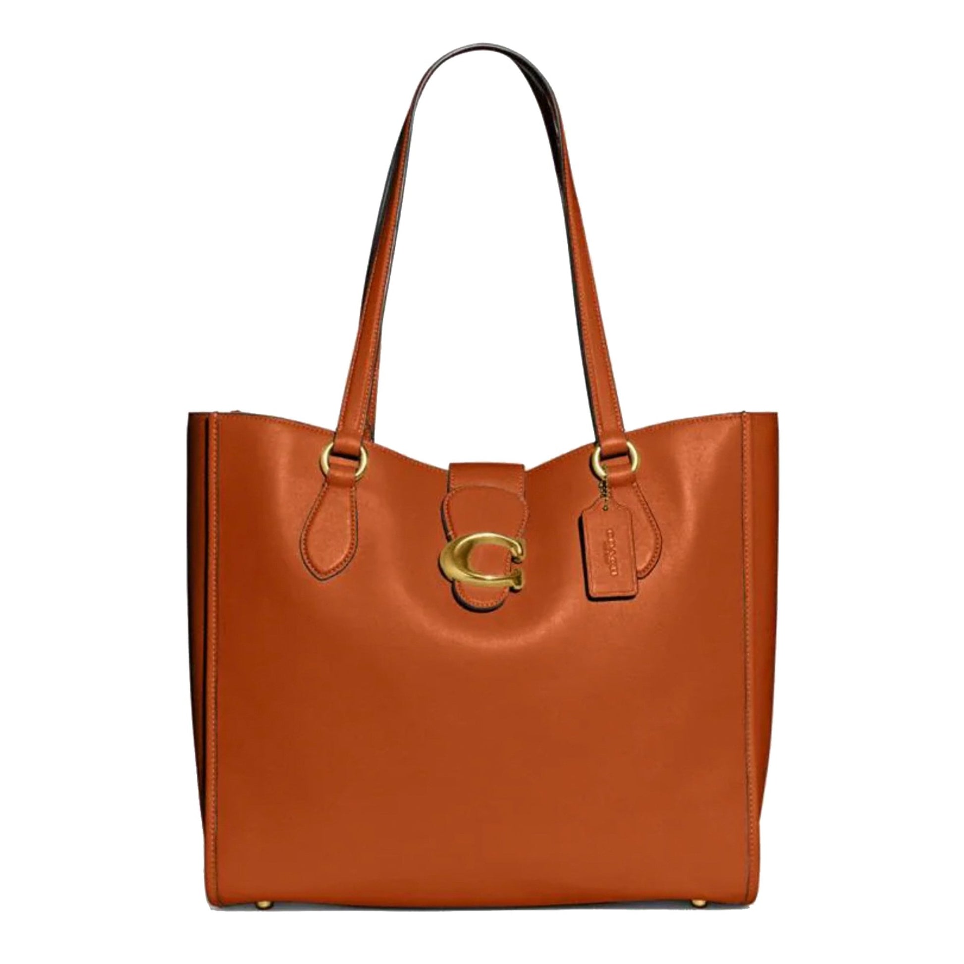 Buy Coach Theo Tote Bag Large in Pakistan