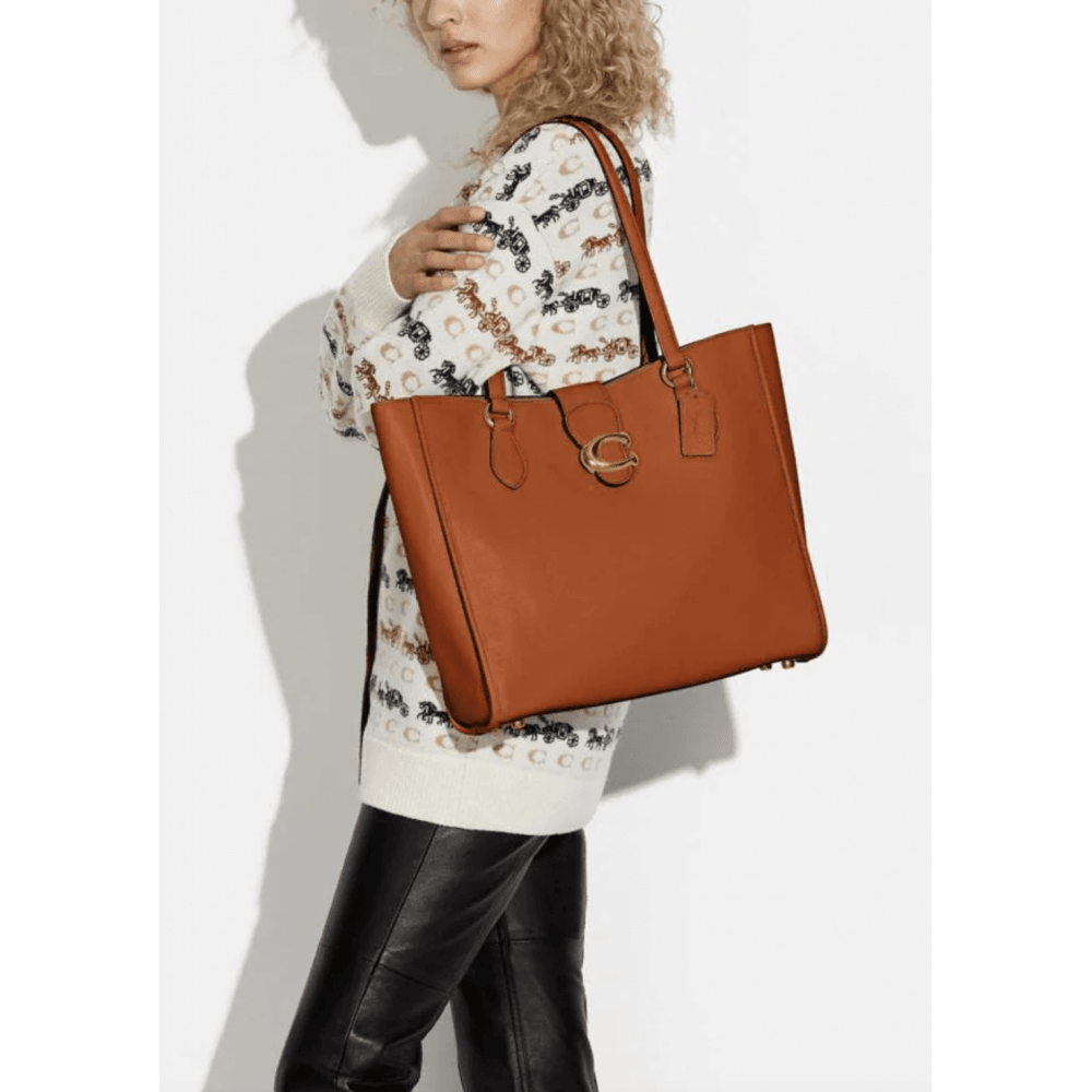 Buy Coach Theo Tote Bag Large in Pakistan